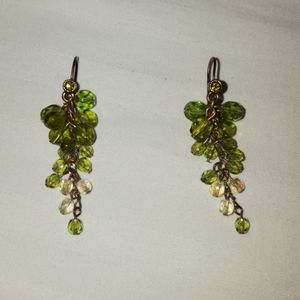 Gorgeous Green Earrings